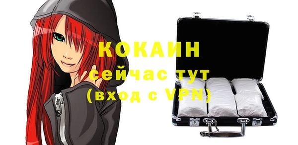 прущие грибы Верея