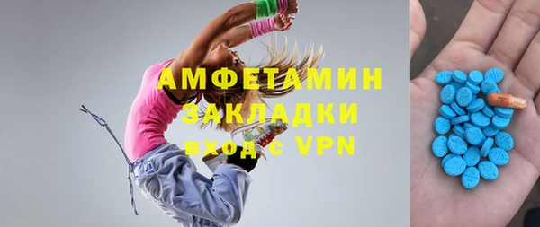 прущие грибы Верея