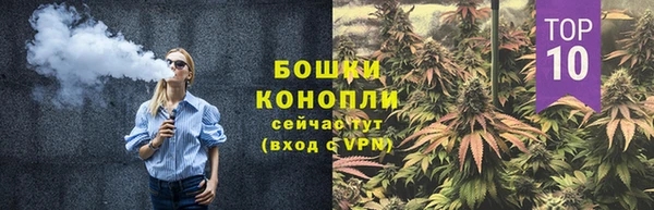 прущие грибы Верея