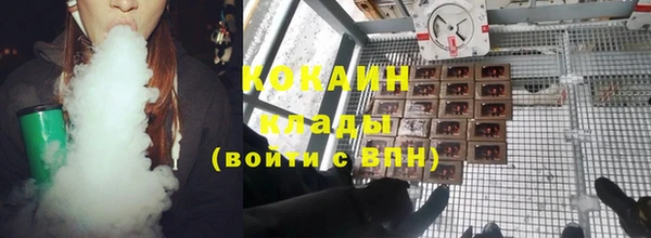 прущие грибы Верея