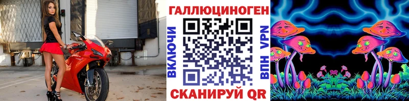 купить наркотик  Гусиноозёрск  Псилоцибиновые грибы Psilocybine cubensis 